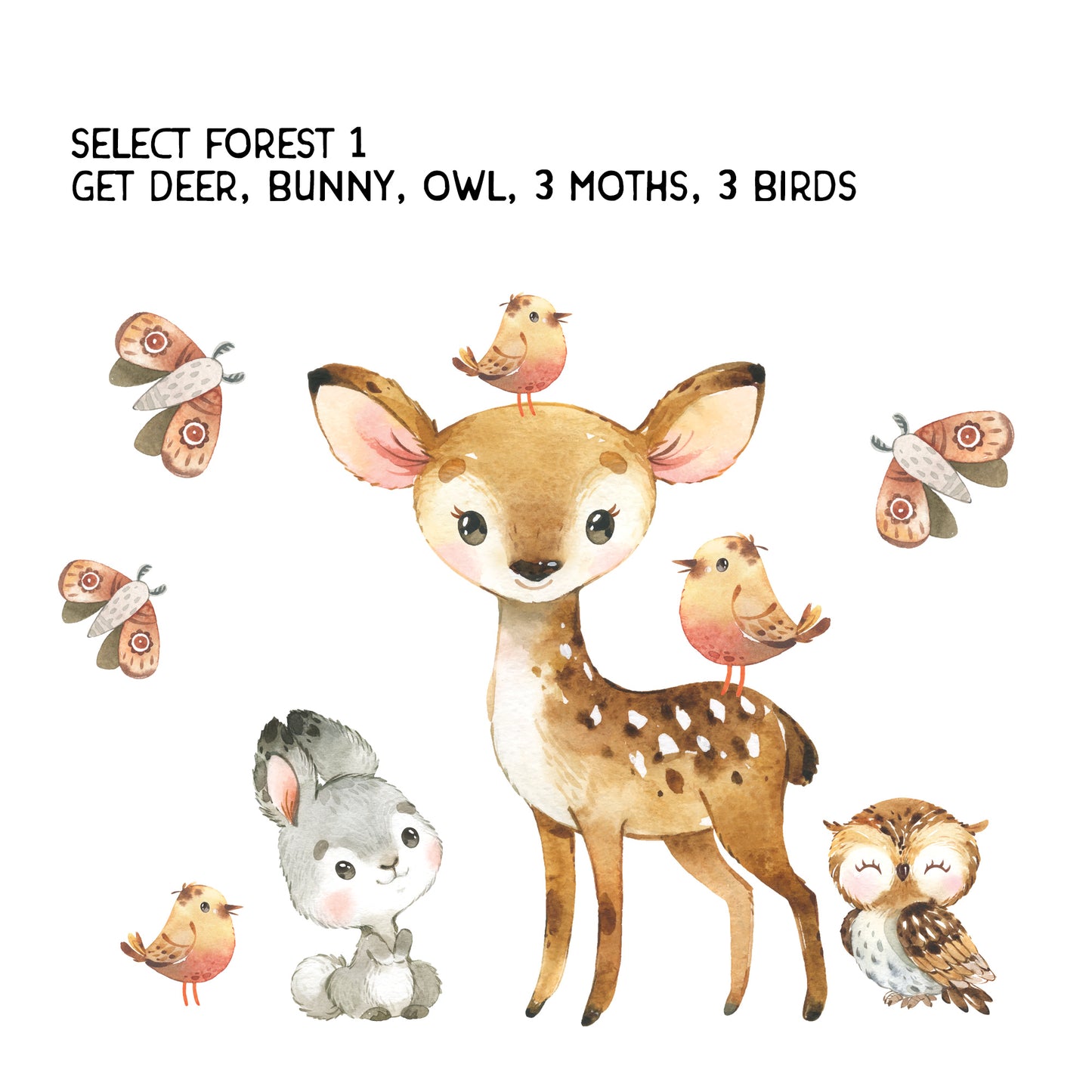 Peel & Stick 12 Animals Woodland Watercolor Nursery Décor