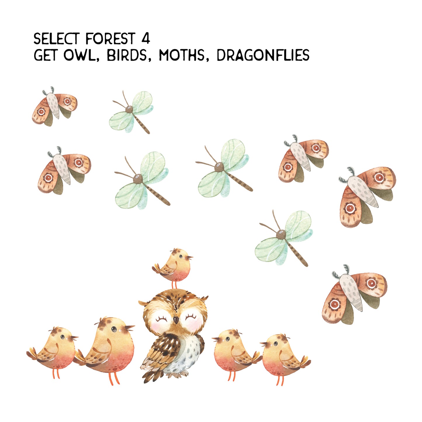 Peel & Stick 12 Animals Woodland Watercolor Nursery Décor