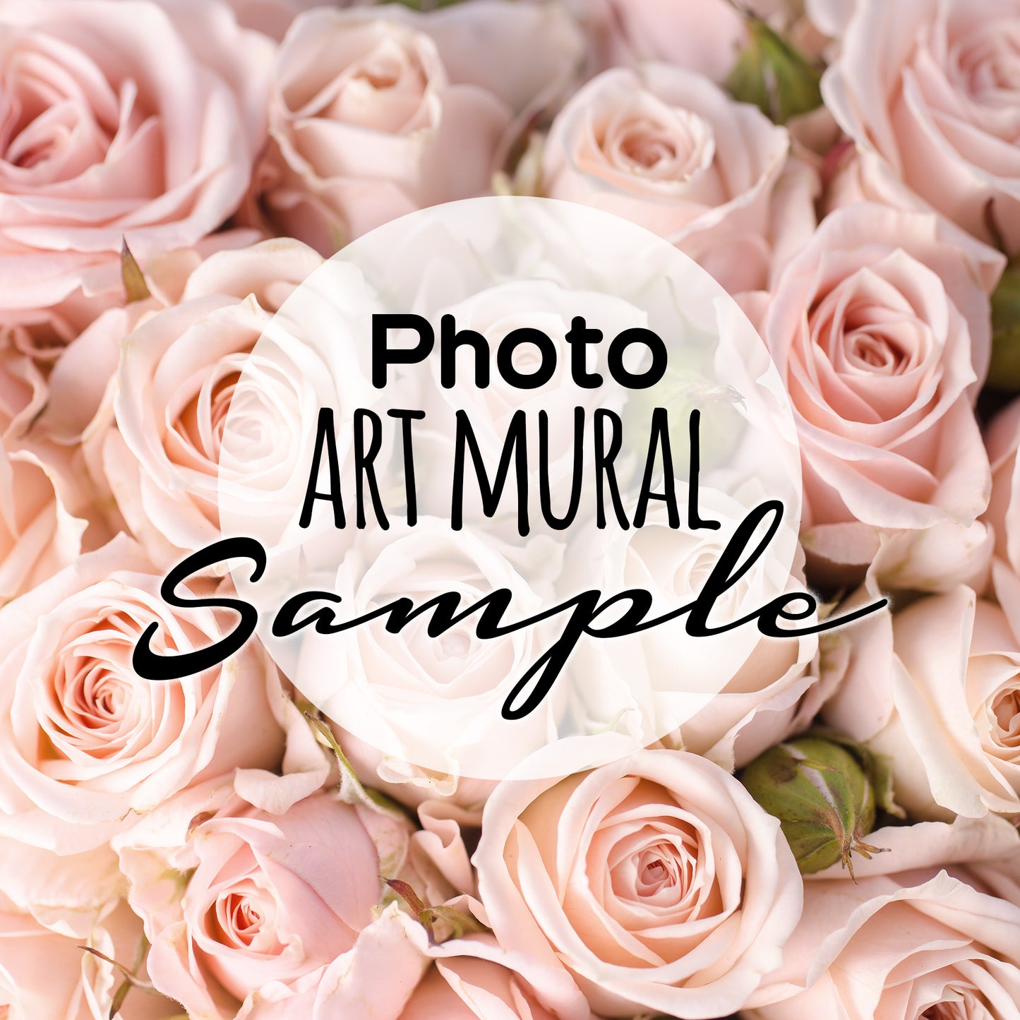Samples Photo Mural Pink Rose Buds